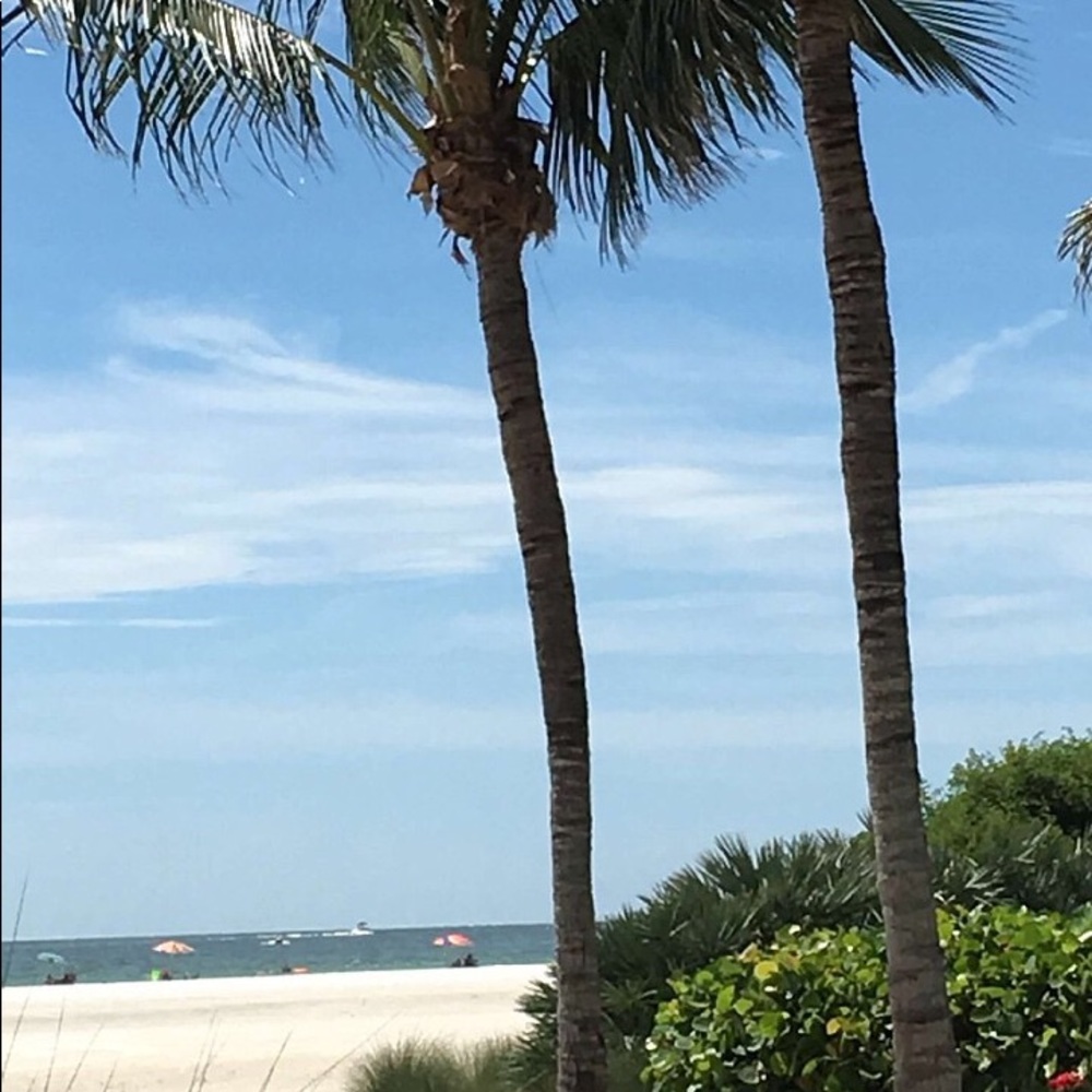 Meet your Posher, Marie